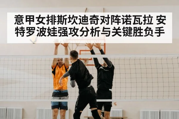 volleyball net block