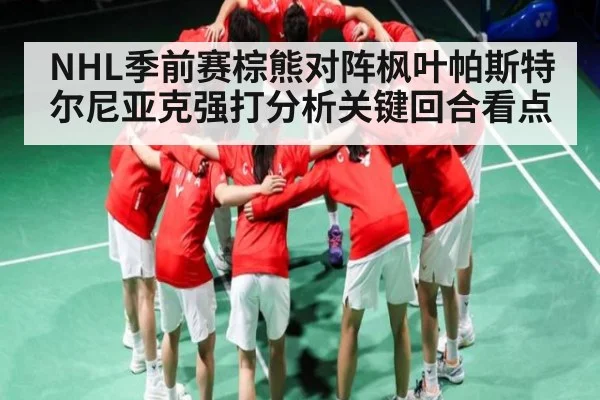 NHL季前赛棕熊对阵枫叶帕斯特尔尼亚克强打分析关键回合看点